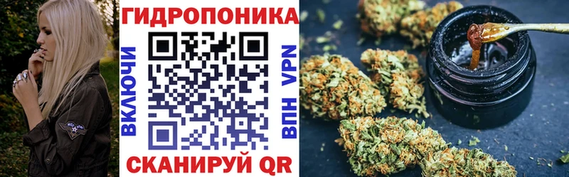 Купить закладку ТГК  Alpha-PVP  Меф  ГАШ  Родники