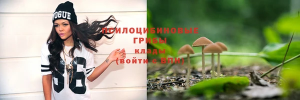прущий лед Семилуки