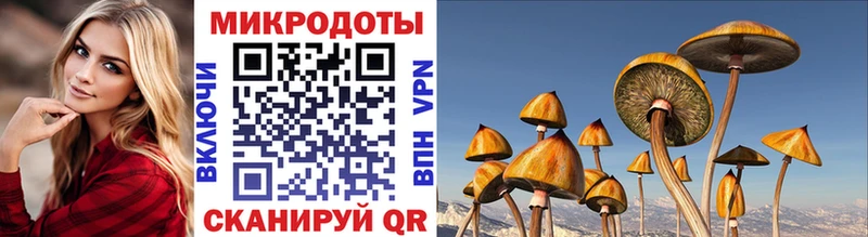 Псилоцибиновые грибы Magic Shrooms  Купить где  Родники 